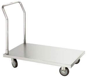 Platform trolley TP100