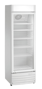 Glastürenkühlschrank 302L WB